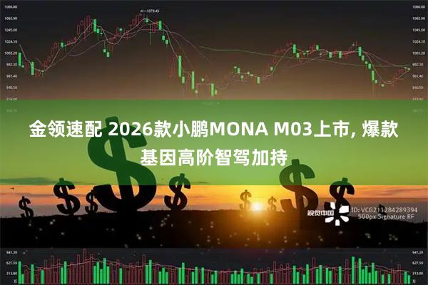 金领速配 2026款小鹏MONA M03上市, 爆款基因高阶智驾加持