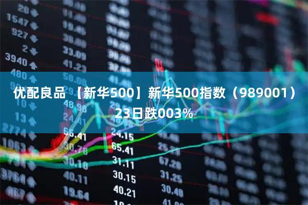 优配良品 【新华500】新华500指数（989001）23日跌003%
